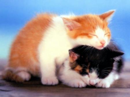 Tros beau !